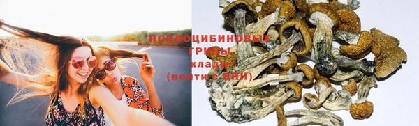 таблы Алексеевка