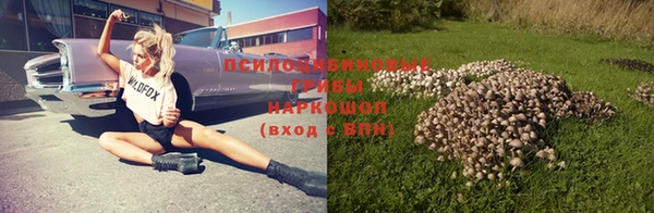 таблы Алексеевка